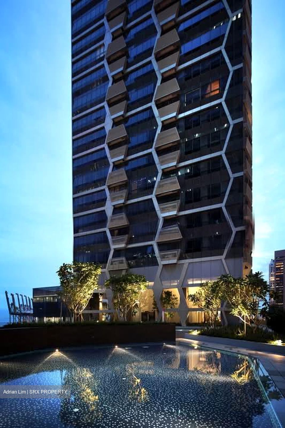 V On Shenton (D1), Apartment #595745651